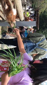 群馬サファリパークに投稿された画像（2020/9/23）