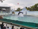 しながわ水族館に投稿された画像（2020/9/23）
