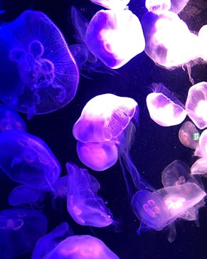 マリンワールド海の中道に投稿された画像（2020/9/22）