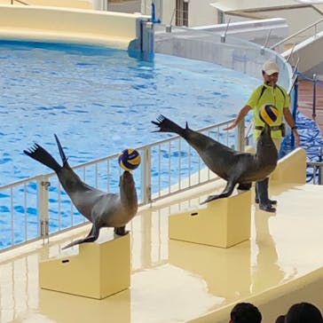 マリンワールド海の中道に投稿された画像（2020/9/22）