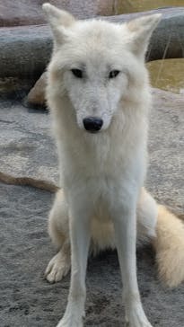 那須どうぶつ王国に投稿された画像（2020/9/23）