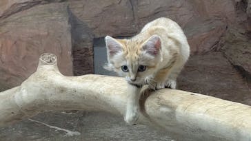 那須どうぶつ王国に投稿された画像（2020/9/23）