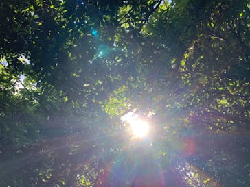 アスムイハイクスに投稿された画像（2020/9/23）