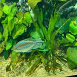 サンシャイン水族館に投稿された画像（2020/9/23）