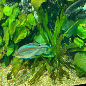 サンシャイン水族館に投稿された画像（2020/9/23）