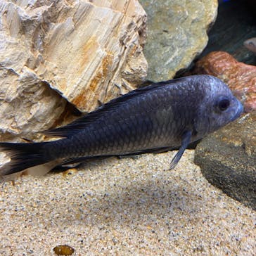 サンシャイン水族館に投稿された画像（2020/9/23）