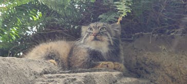 神戸どうぶつ王国に投稿された画像（2020/9/23）