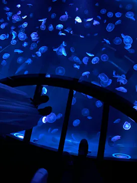 すみだ水族館に投稿された画像（2020/9/23）