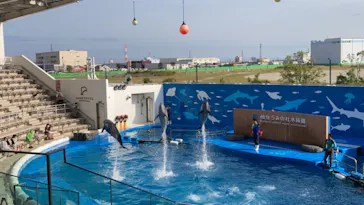 仙台うみの杜水族館に投稿された画像（2020/9/23）