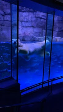 横浜・八景島シーパラダイスに投稿された画像（2020/9/23）