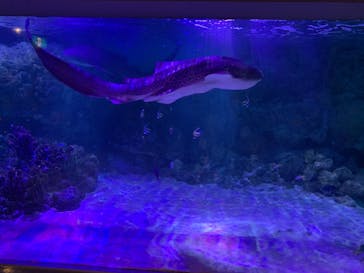 横浜・八景島シーパラダイスに投稿された画像（2020/9/23）