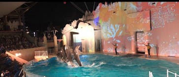 株式会社Gに投稿された画像（2020/9/23）