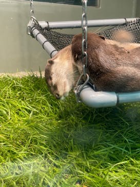 サンシャイン水族館に投稿された画像（2020/9/23）