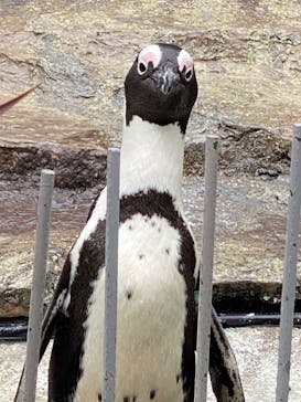 サンシャイン水族館に投稿された画像（2020/9/23）