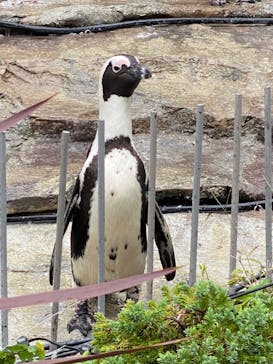 サンシャイン水族館に投稿された画像（2020/9/23）
