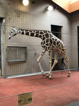 天王寺動物園に投稿された画像（2020/9/23）