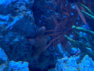 サンシャイン水族館に投稿された画像（2020/9/23）