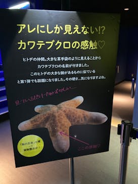 サンシャイン水族館に投稿された画像（2020/9/23）