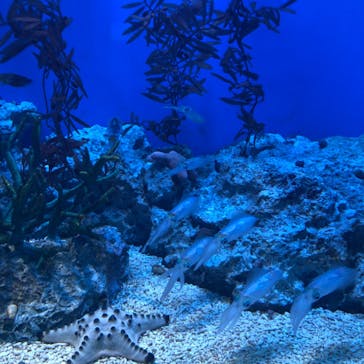 サンシャイン水族館に投稿された画像（2020/9/23）