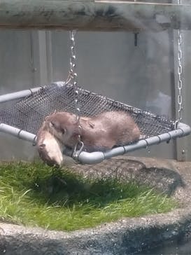 サンシャイン水族館に投稿された画像（2020/9/23）