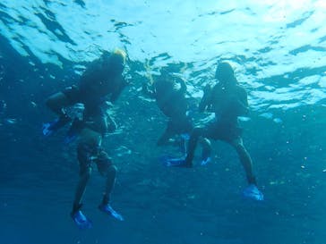 石垣島 ADVENTURE PiPi（イシガキジマアドベンチャーピピ）に投稿された画像（2020/9/23）