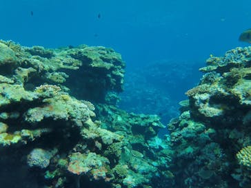 石垣島 ADVENTURE PiPi（イシガキジマアドベンチャーピピ）に投稿された画像（2020/9/23）