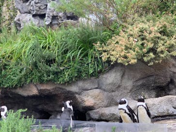 サンシャイン水族館に投稿された画像（2020/9/23）