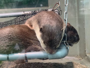 サンシャイン水族館に投稿された画像（2020/9/23）