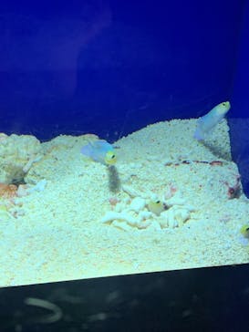 サンシャイン水族館に投稿された画像（2020/9/23）