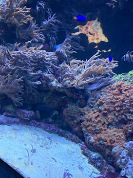 サンシャイン水族館に投稿された画像（2020/9/23）