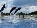 京都水族館に投稿された画像（2020/9/23）
