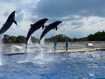 京都水族館に投稿された画像（2020/9/23）