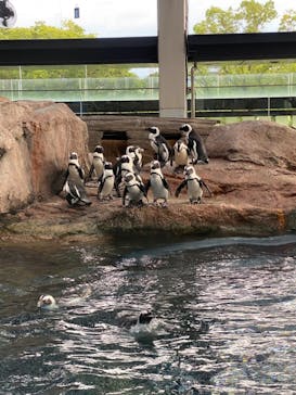 京都水族館に投稿された画像（2020/9/23）