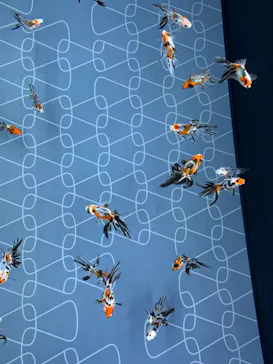 すみだ水族館に投稿された画像（2020/9/23）