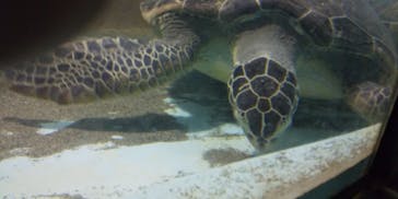 マリンワールド海の中道に投稿された画像（2020/9/23）