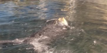 マリンワールド海の中道に投稿された画像（2020/9/23）