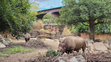 天王寺動物園に投稿された画像（2020/9/23）