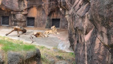 天王寺動物園に投稿された画像（2020/9/23）