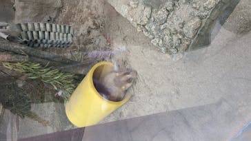 天王寺動物園に投稿された画像（2020/9/23）