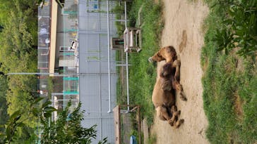 天王寺動物園に投稿された画像（2020/9/23）