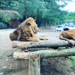 群馬サファリパークに投稿された画像（2020/9/24）