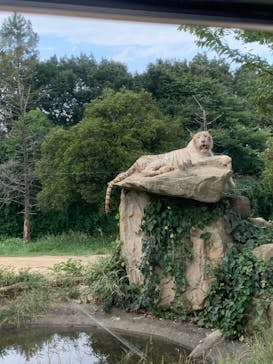 群馬サファリパークに投稿された画像（2020/9/23）