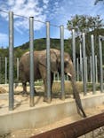 しろとり動物園に投稿された画像（2020/9/24）