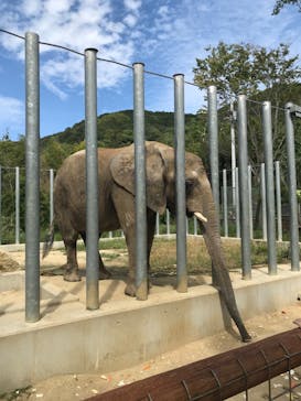 しろとり動物園に投稿された画像（2020/9/24）