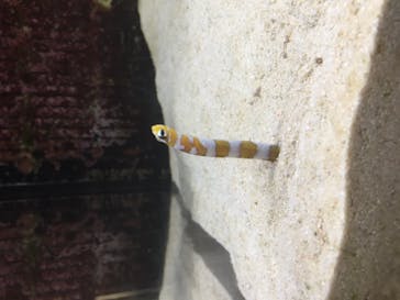 京都水族館に投稿された画像（2020/9/24）