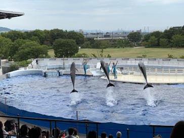 京都水族館に投稿された画像（2020/9/24）