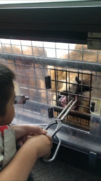 群馬サファリパークに投稿された画像（2020/9/24）