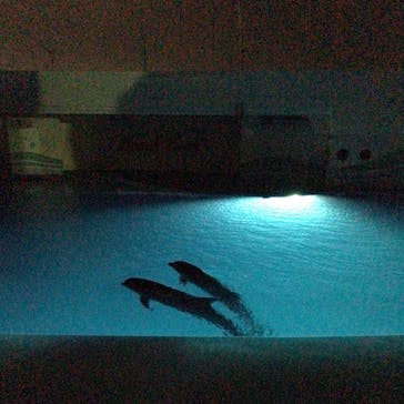 南知多ビーチランド＆南知多おもちゃ王国に投稿された画像（2020/9/24）