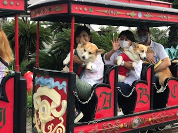 伊豆ぐらんぱる公園に投稿された画像（2020/9/24）