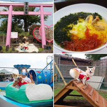 伊豆ぐらんぱる公園に投稿された画像（2020/9/24）